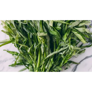 Spinach (44)-5468039-89608.webp